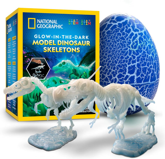 Glow-in-the-Dark Velociraptor Model Skeleton