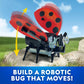 National Geographic Junior Robotics: Bugs