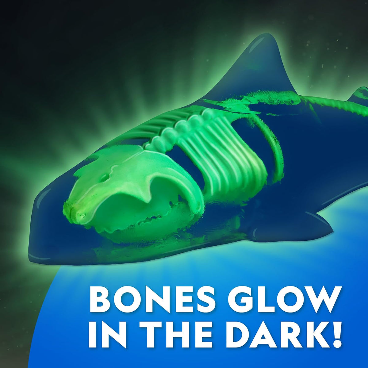 National Geographic Glow-in-the-Dark Great White Shark Dissection Lab