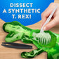 National Geographic STEM Dissection Lab T. Rex Model with Glow-in-the-Dark Feature and Tools for Educational Use