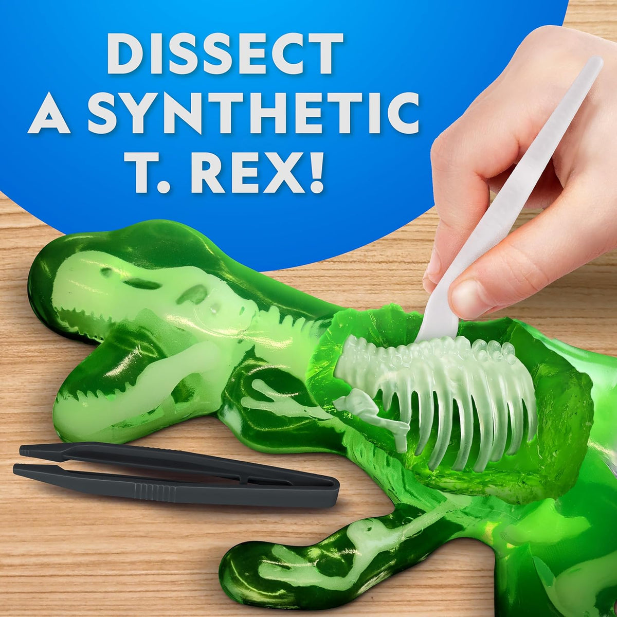 National Geographic STEM Dissection Lab T. Rex Model with Glow-in-the-Dark Feature and Tools for Educational Use