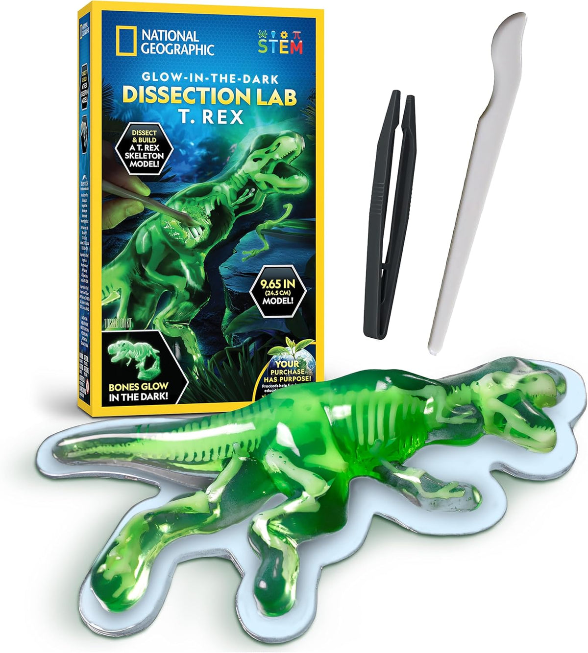 National Geographic STEM Dissection Lab T. Rex Model with Glow-in-the-Dark Feature and Tools for Educational Use