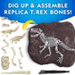 National Geographic - T-Rex Skeleton Dig Kit