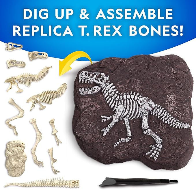 National Geographic - T-Rex Skeleton Dig Kit