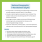 National Geographic - T-Rex Skeleton Dig Kit
