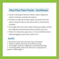 Plus-Plus Plant Packs - Sunflower