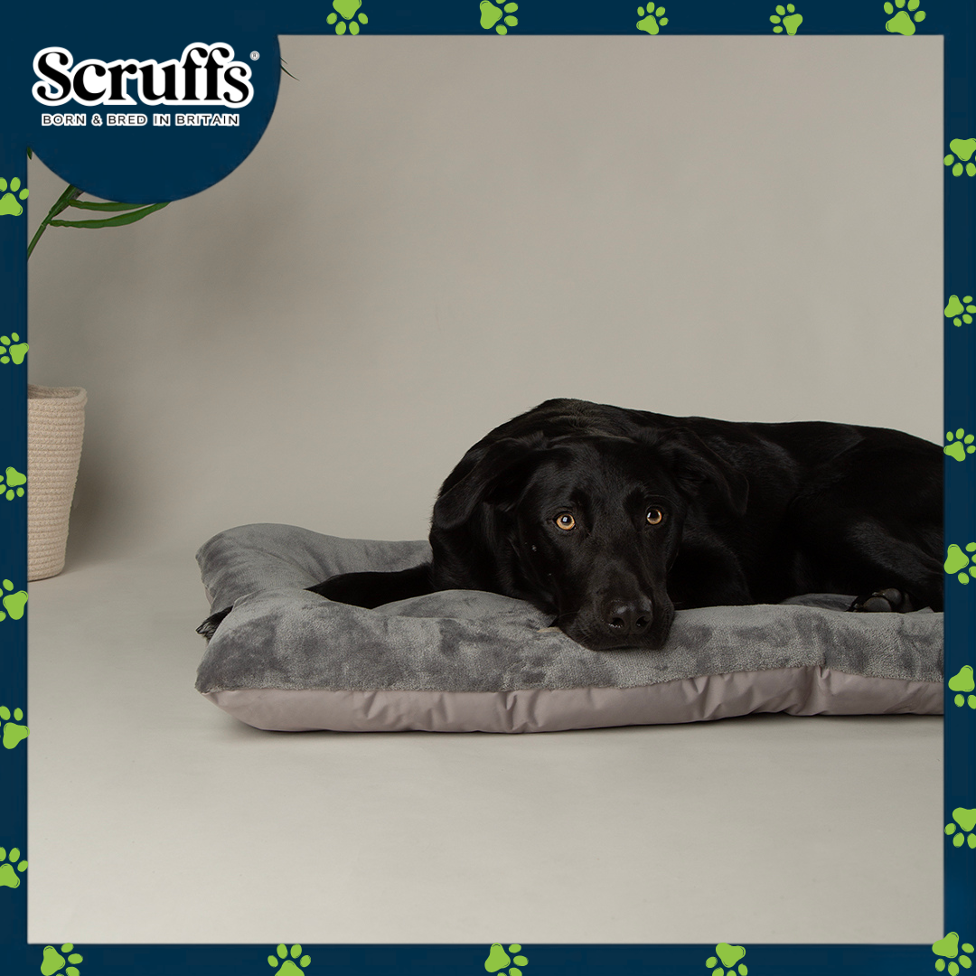 Scruffs Expedition Mat (L)