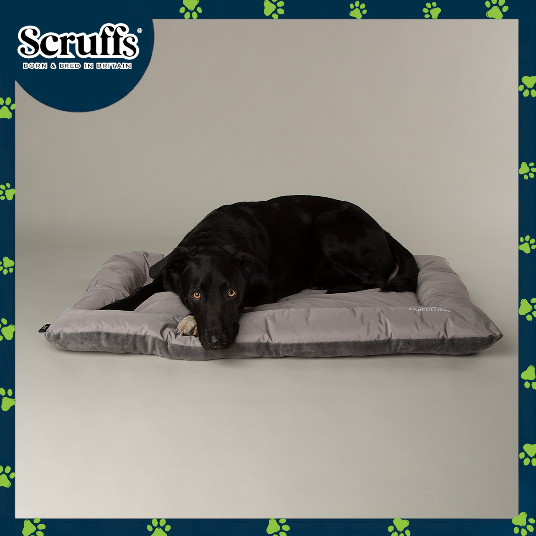 Scruffs Expedition Mat (L)