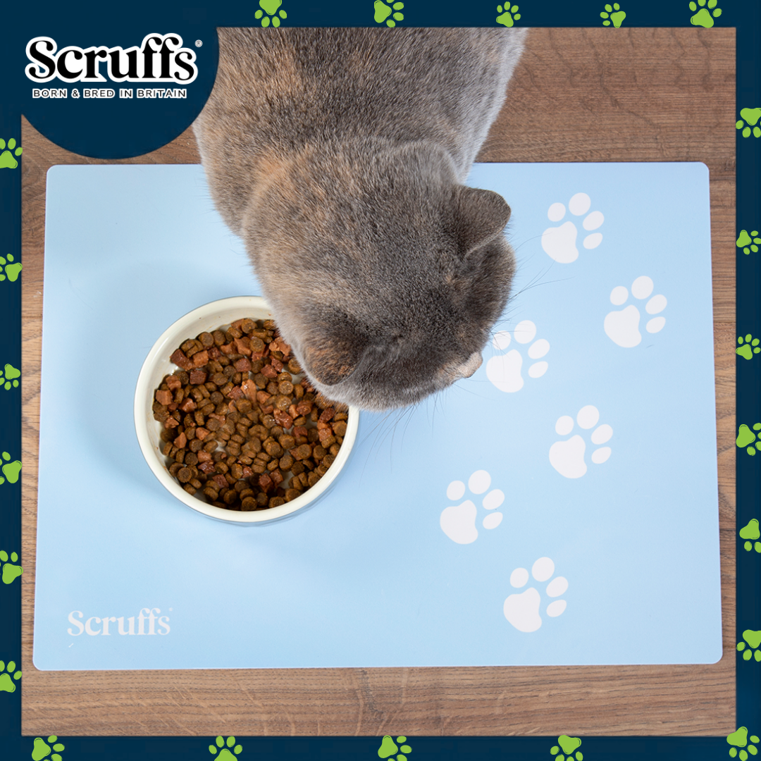 Scruffs 40 x 30cm Pet Placemat