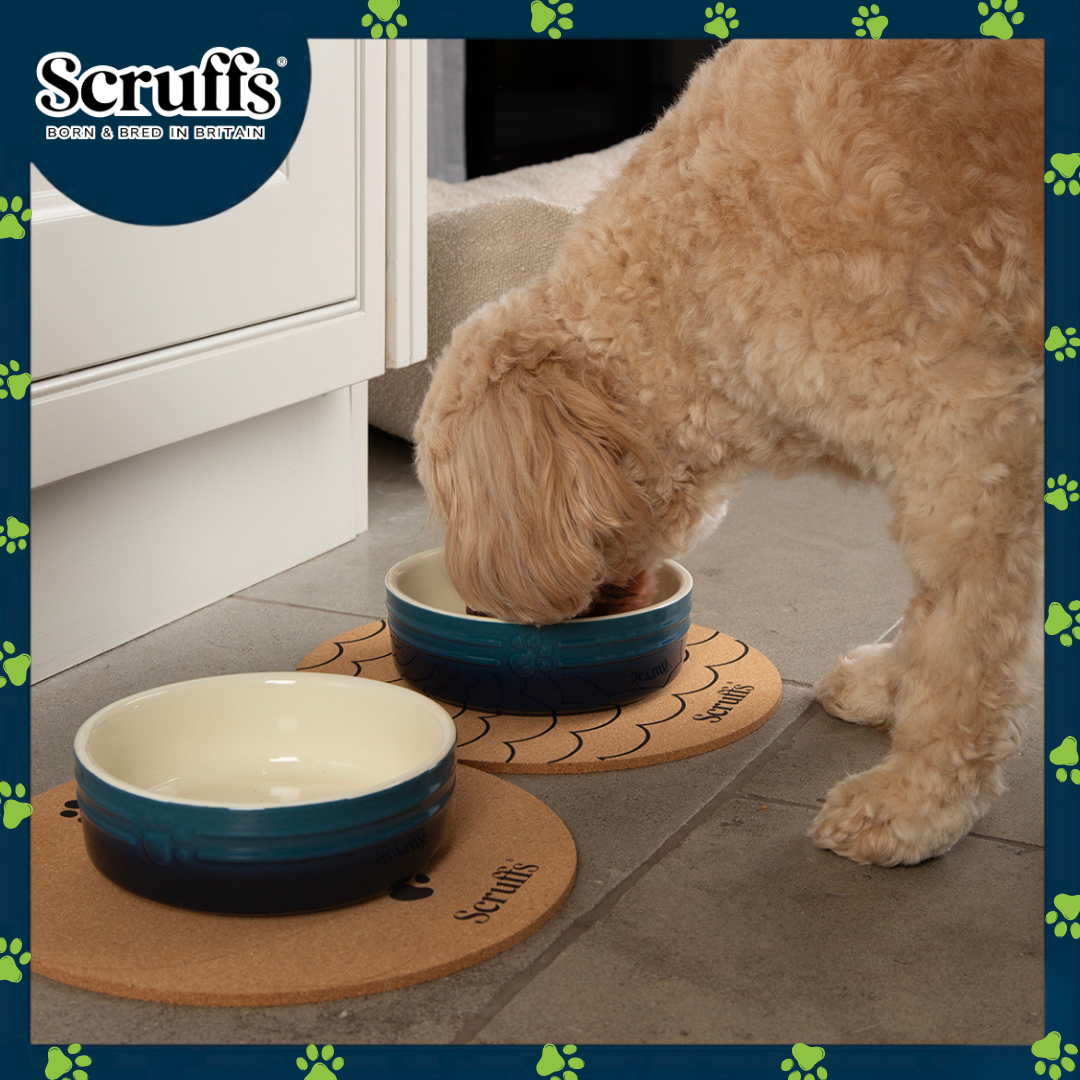 Scruffs 25cm Set of 2 Cork Pet Placemats