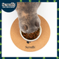Scruffs 25cm Set of 2 Cork Pet Placemats