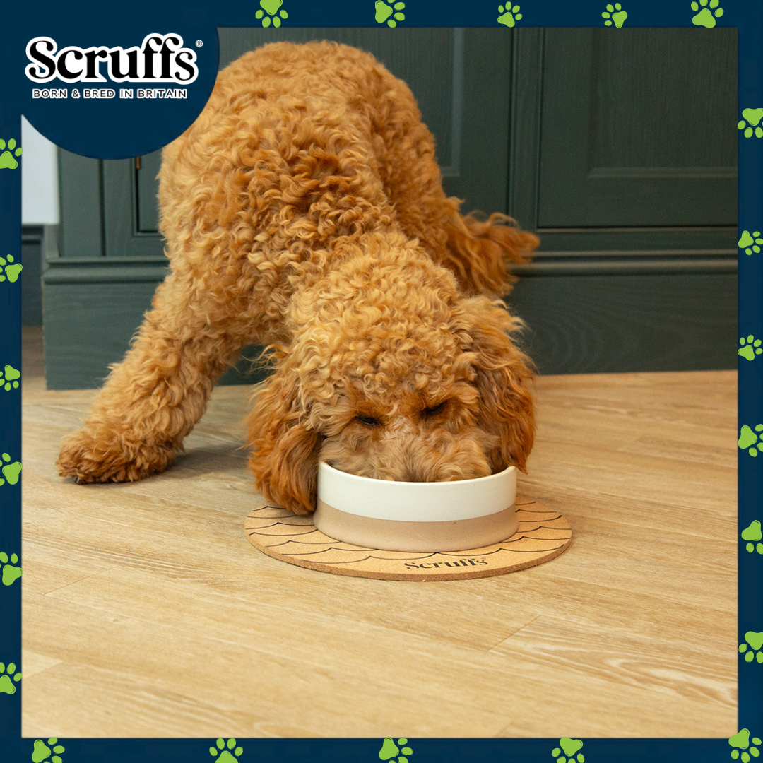 Scruffs 25cm Set of 2 Cork Pet Placemats