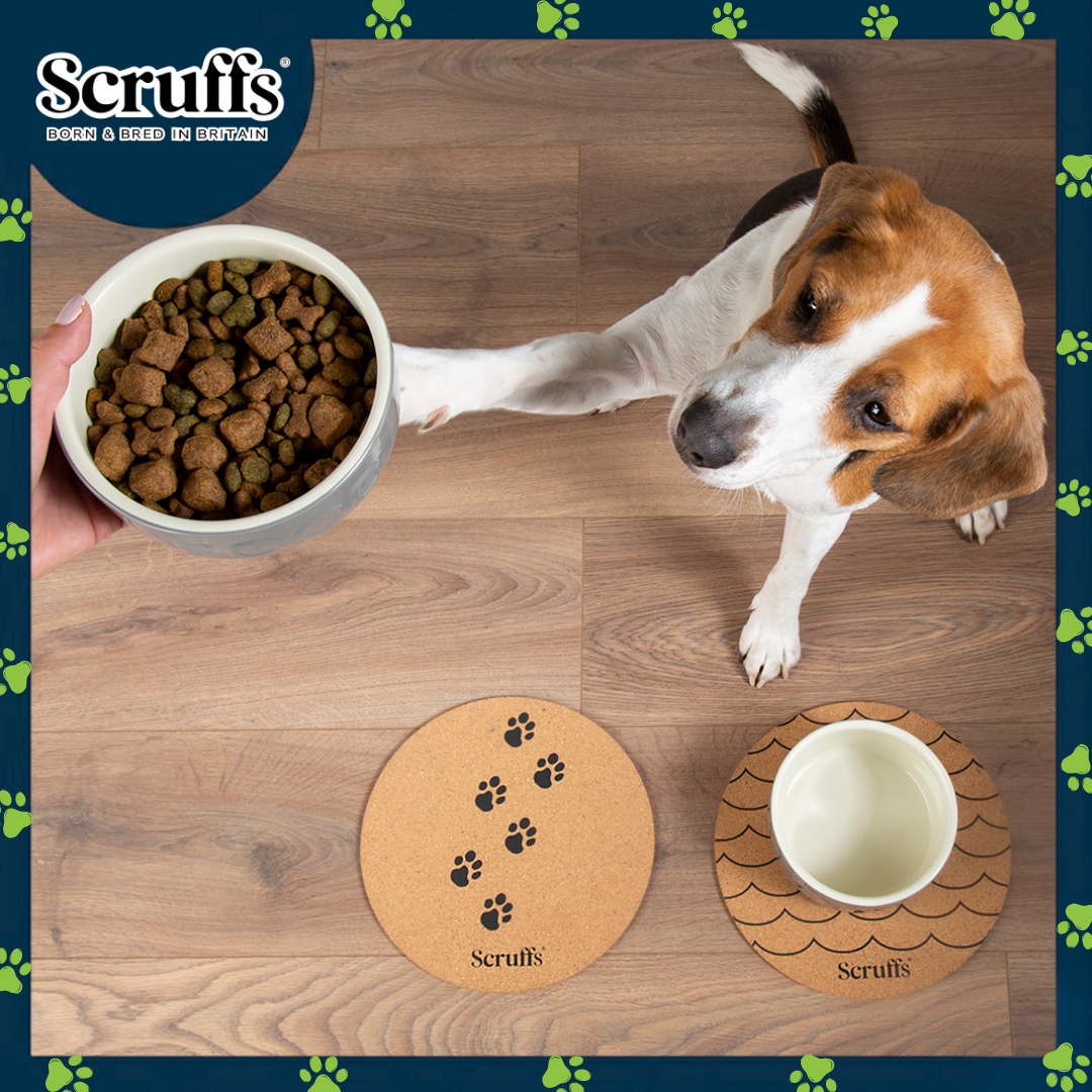 Scruffs 25cm Set of 2 Cork Pet Placemats