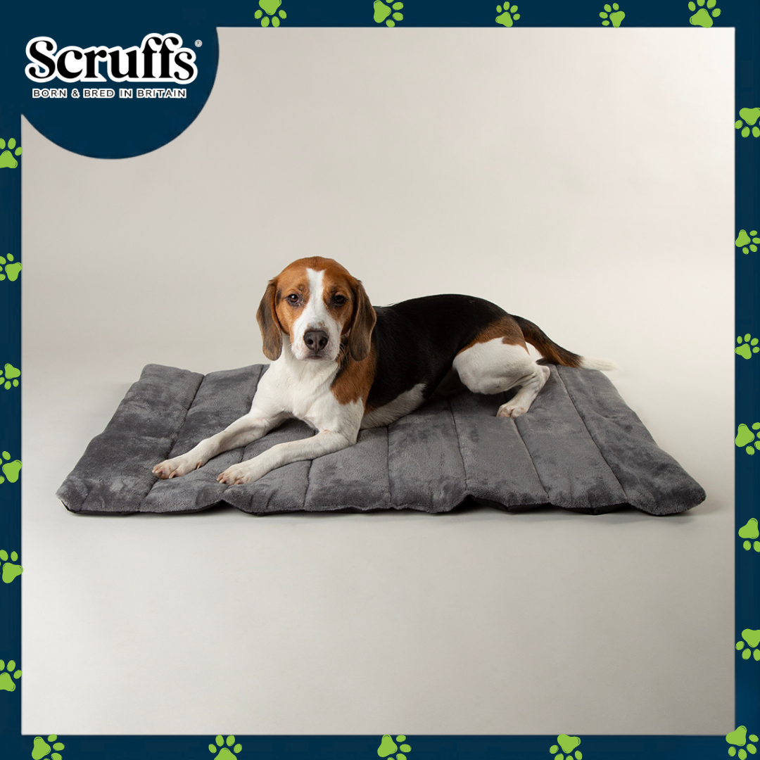 Scruffs Expedition Roll Up Travel Pet Bed