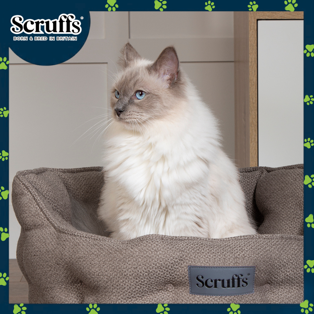 Scruffs Seattle Cat Bed