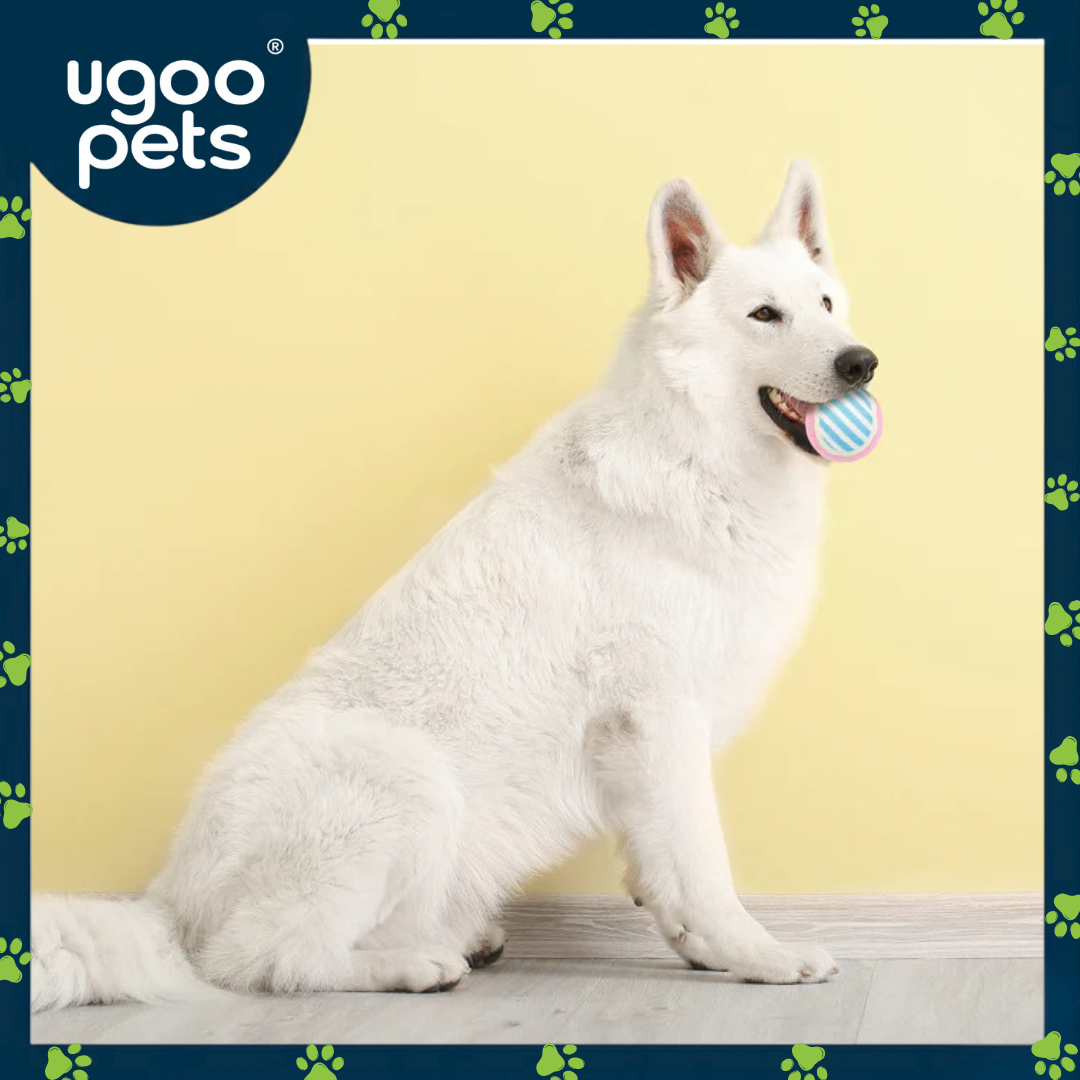 Ugoo Pattern Tennis Ball 3pk 3 Assorted