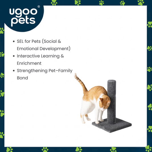 Ugoo Carpet Post