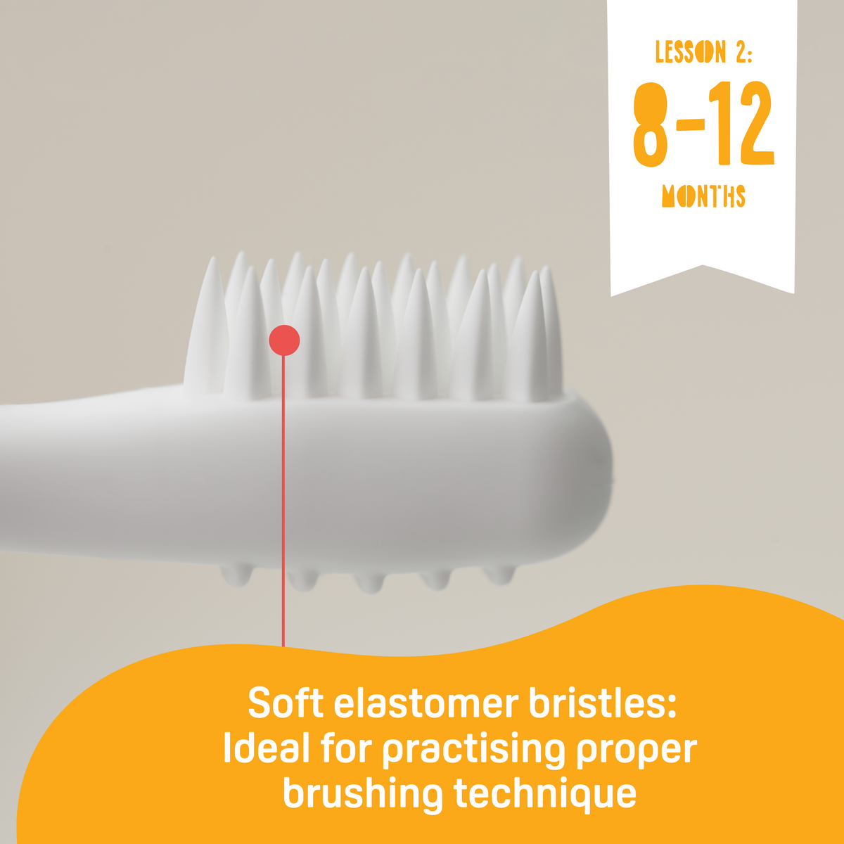 Pigeon Official - Training Toothbrush Set Lesson 1-3, 6-18+ Months, Soft Elastomer Brush Head, Ergonomic handle, BPA Free, Co-developed with Pediatric Dentist, Japan No. 1 Brand