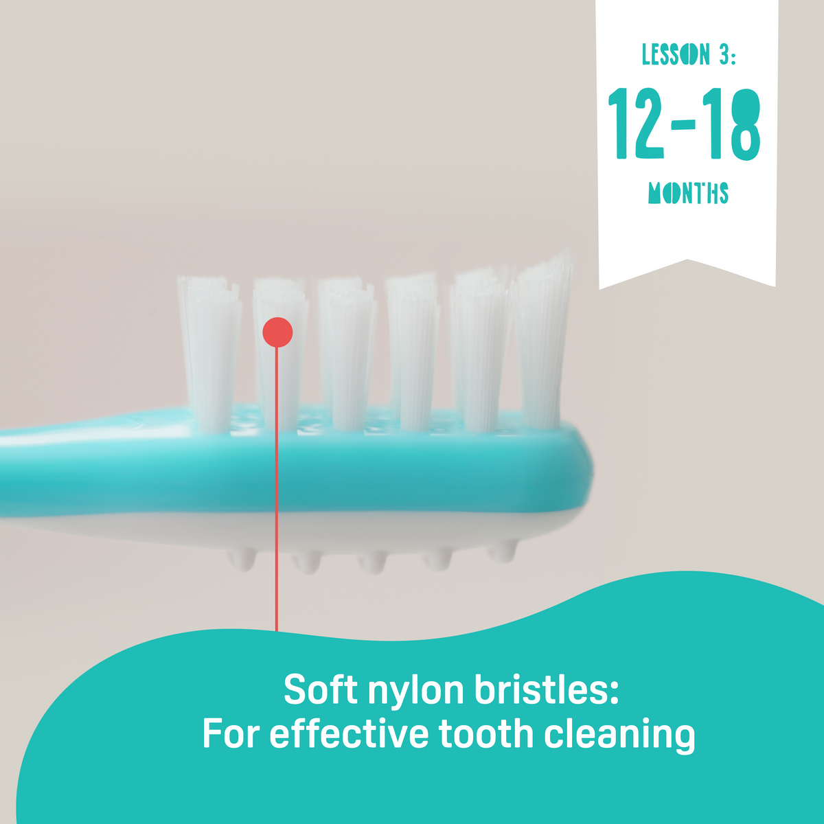 Pigeon Official - Training Toothbrush Set Lesson 1-3, 6-18+ Months, Soft Elastomer Brush Head, Ergonomic handle, BPA Free, Co-developed with Pediatric Dentist, Japan No. 1 Brand