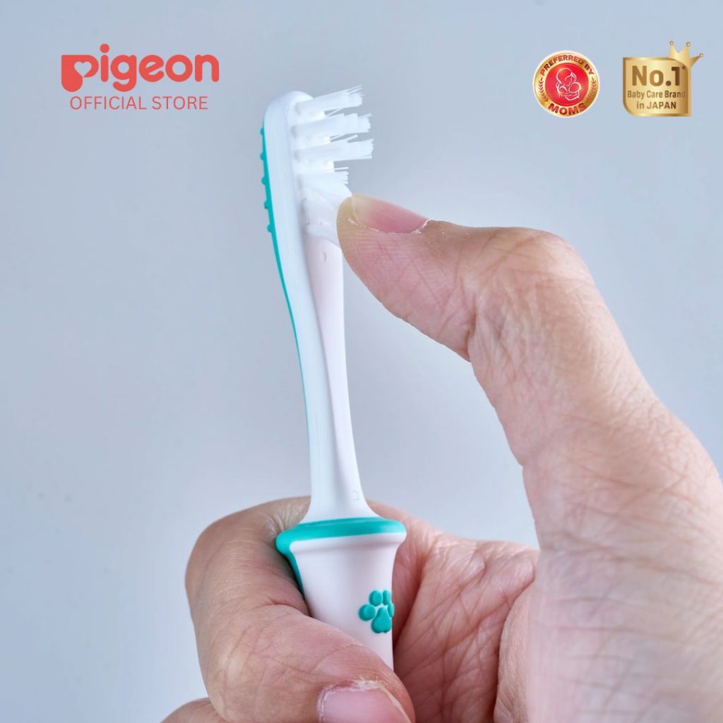 Pigeon Official - Lesson 4 Toothbrush Mint with Suction Cup Stand, 18+ Months, Soft Bristles, Slim head to reach back molars, Ergonomic handle, BPA Free, Co-developed with Pediatric Dentist, Japan No. 1 Brand