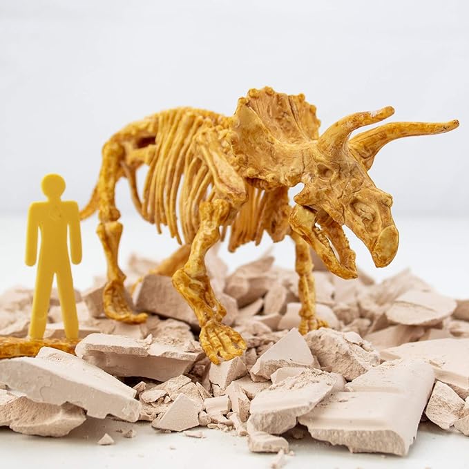 Triceratops Fossil Excavation