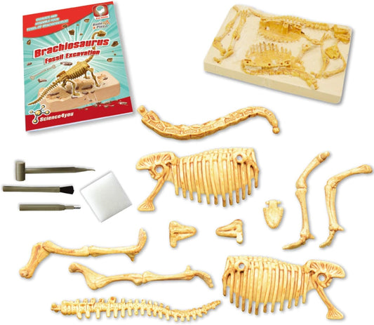 Science 4 You Brachiosaurus Fossil Excavation