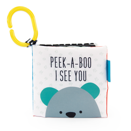 SASSY PEEK-A-BOO BOOK