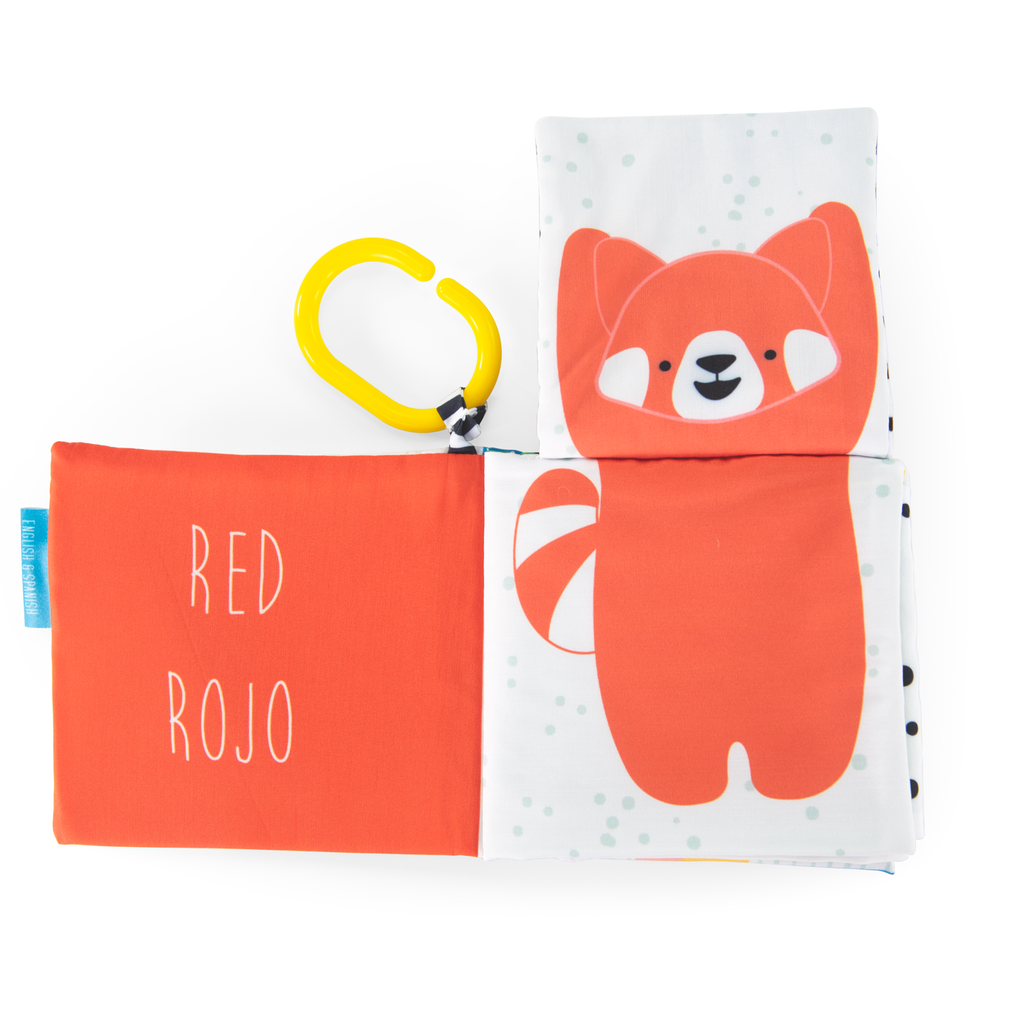 SASSY PEEK-A-BOO BOOK