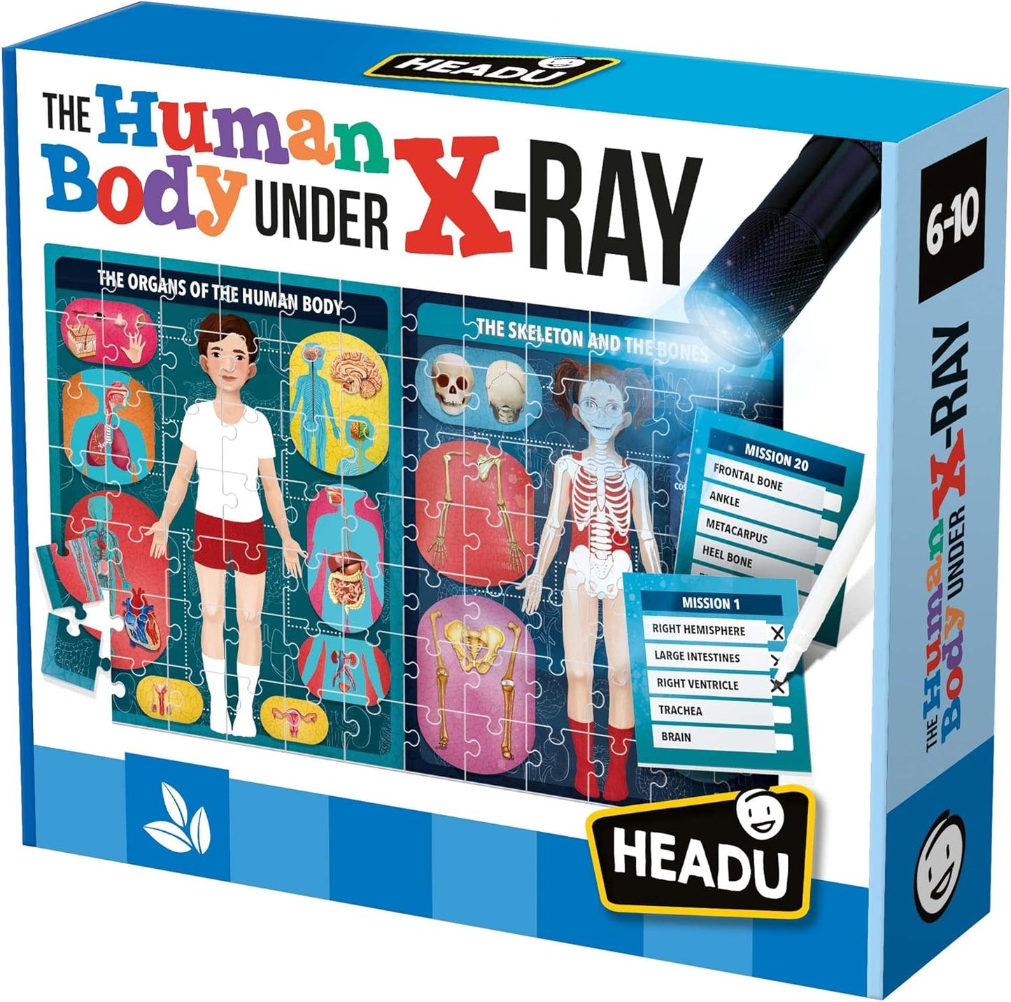 Headu The Human Body under X-Ray