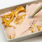 Triceratops Fossil Excavation