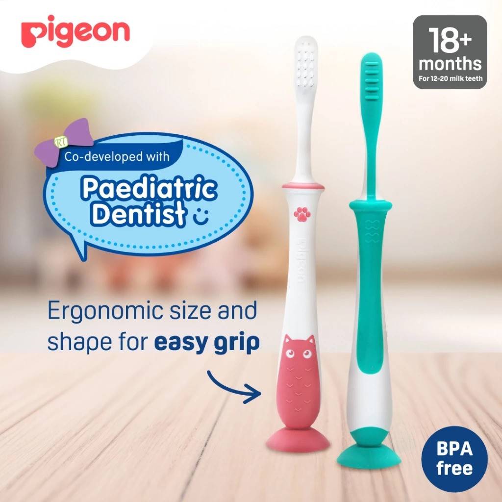 Pigeon Official - Lesson 4 Toothbrush Mint with Suction Cup Stand, 18+ Months, Soft Bristles, Slim head to reach back molars, Ergonomic handle, BPA Free, Co-developed with Pediatric Dentist, Japan No. 1 Brand