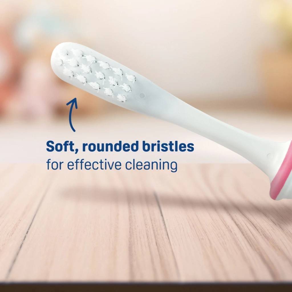 Pigeon Official - Lesson 4 Toothbrush Mint with Suction Cup Stand, 18+ Months, Soft Bristles, Slim head to reach back molars, Ergonomic handle, BPA Free, Co-developed with Pediatric Dentist, Japan No. 1 Brand