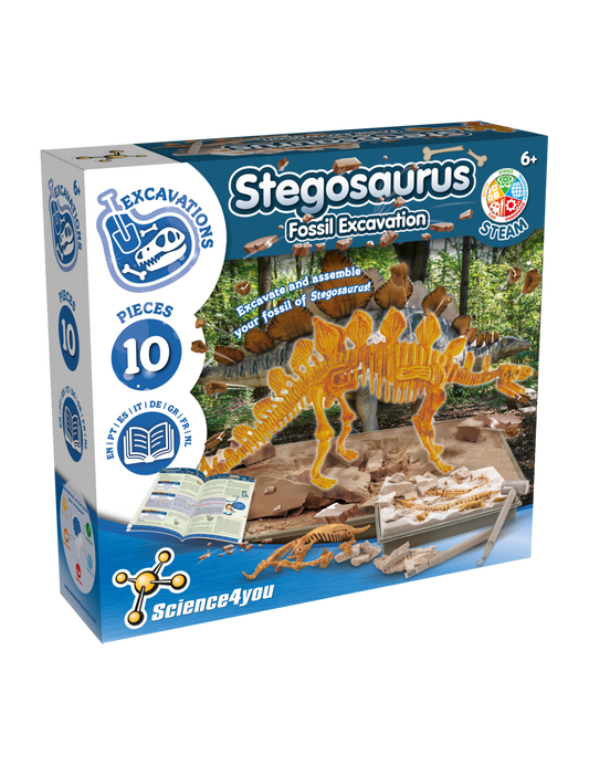 Stegosaurus Fossil Excavation