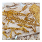 T-Rex Fossil Excavation