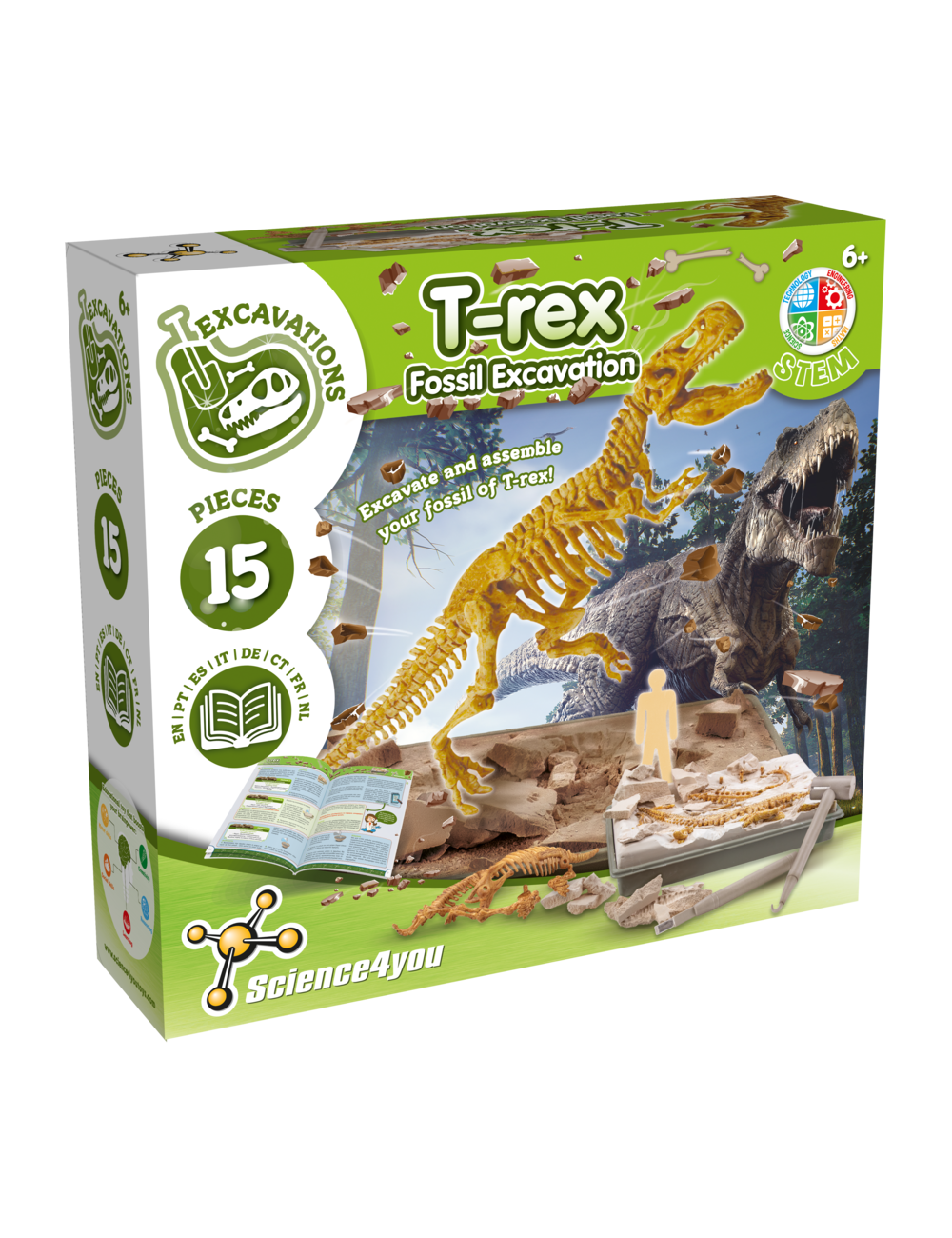 T-Rex Fossil Excavation