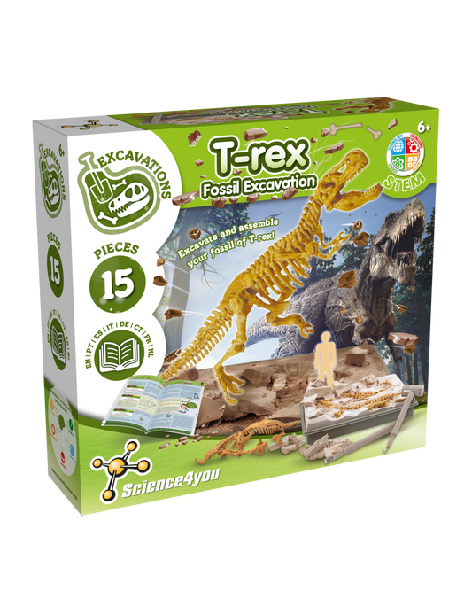 T-Rex Fossil Excavation
