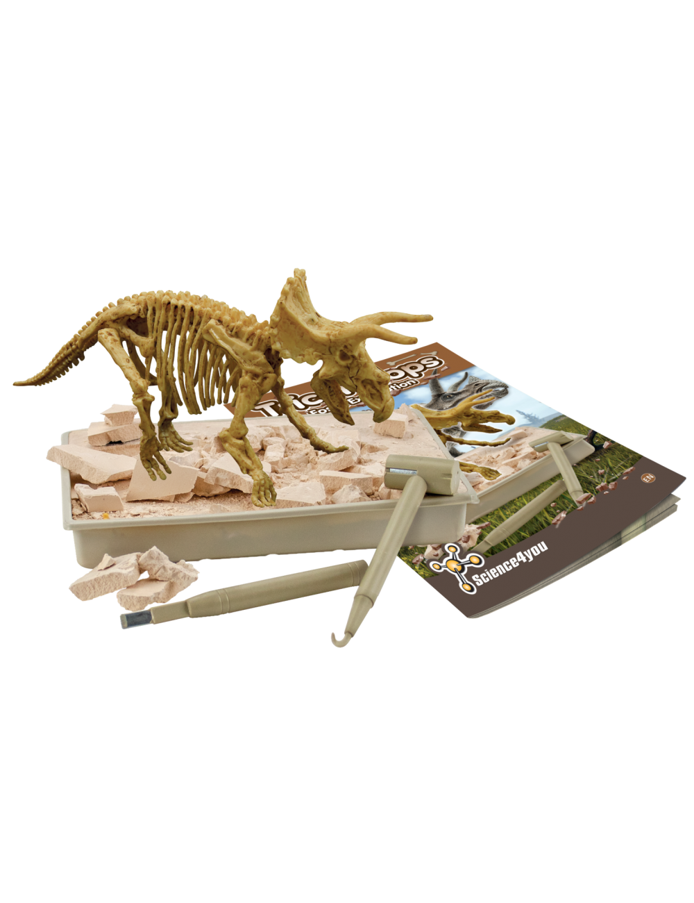 Triceratops Fossil Excavation