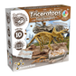 Triceratops Fossil Excavation