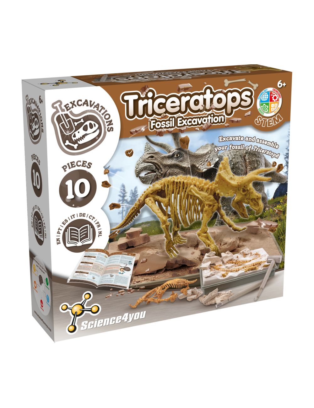 Triceratops Fossil Excavation