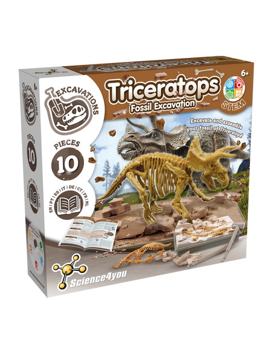Triceratops Fossil Excavation